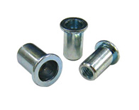 Lobster NSD í��ĸ