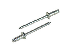 Lobster ԲͷNTA ��оí��