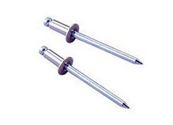 Lobster ԲͷNSS ��оí��