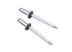 Lobster ԲͷNA ��оí��