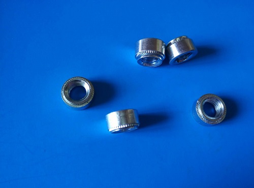 ѹí��ĸͼƬչʾ