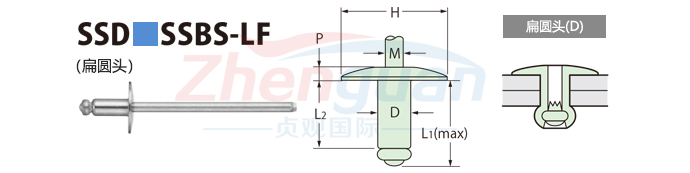 POP������оí��SSD��SSBS-LFϵ��