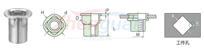 POP 四角孔平头铆螺母SPH ■ TETRA系列 POP 四角孔平头铆螺母SPH ■ TETRA系列