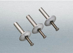 ANZI�����ƻ�о�Ϳ���í��