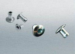 ANZI��������о�Ϳ���í��